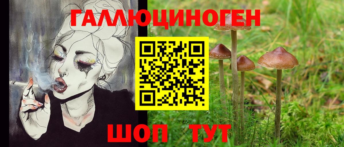 Псилоцибиновые грибы Cubensis Новокуйбышевск